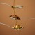 hanging_on_reduced