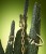 hanging_on_reduced