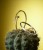 hanging_on_reduced