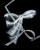 hanging_on_reduced