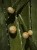 hanging_on_reduced