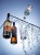hanging_on_reduced